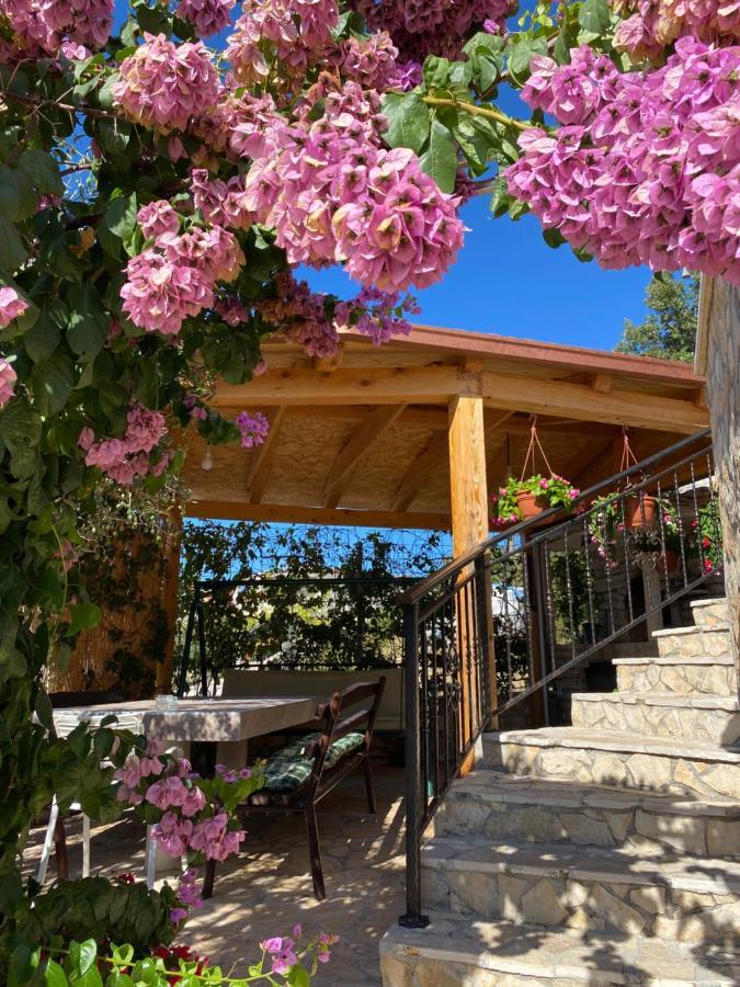Villa Nada 산책길 외부 사진